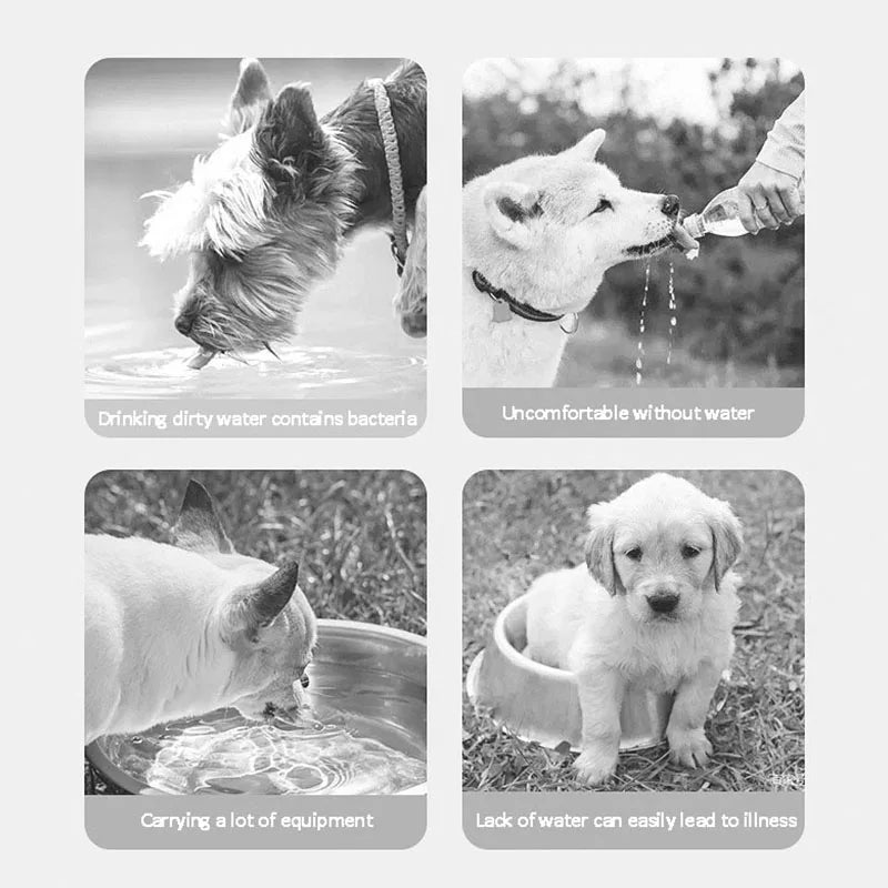 S989730edc2494b3796f7de93e54fa2b1S